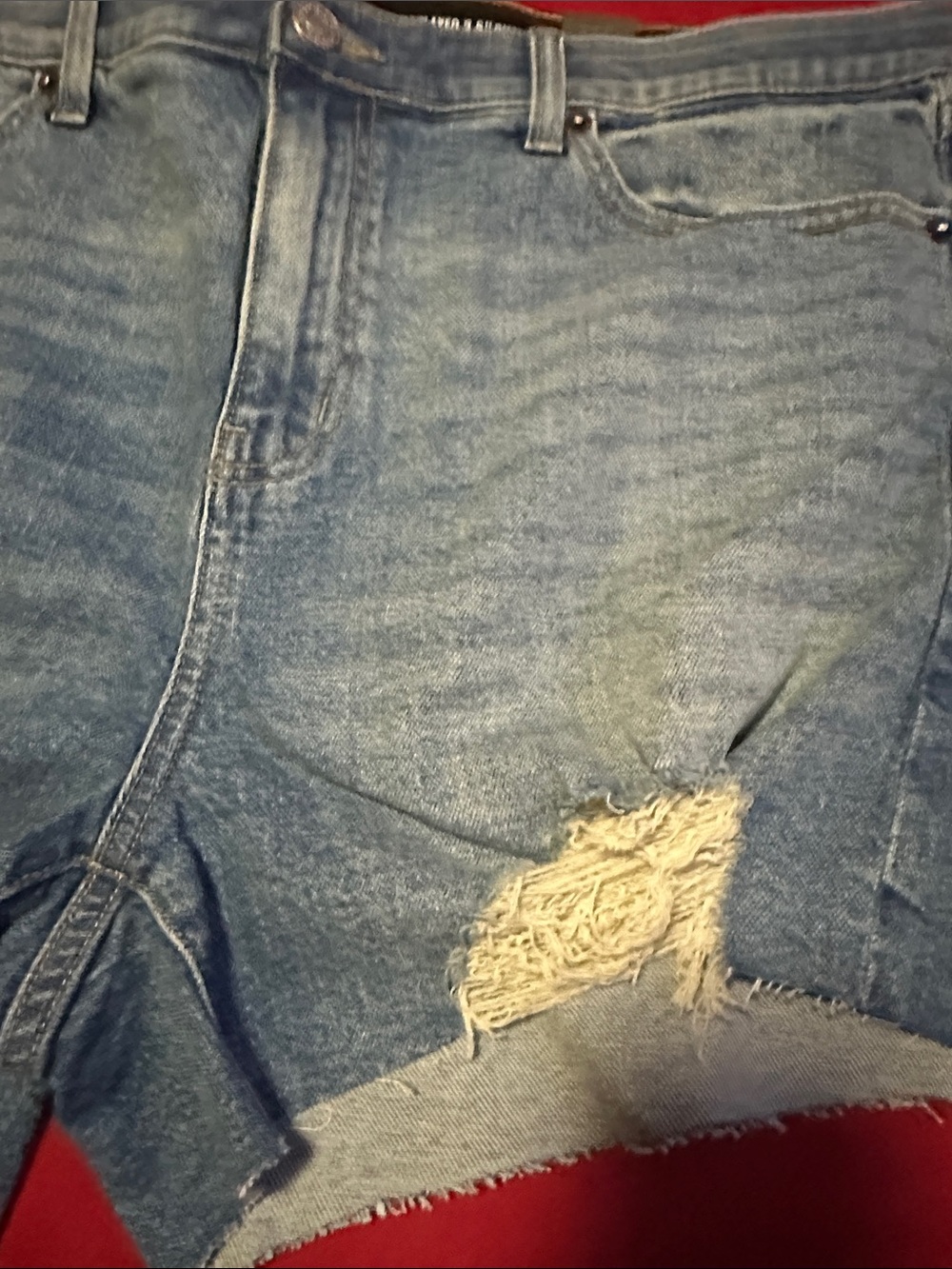 Torrid - Picture 3 of 5